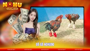 Đá Gà NOHU90 - Dễ Cược Thắng Lớn, Kèo Cược Hàng Đầu